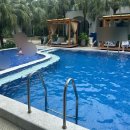 라이즈호텔 | 베트남 다낭 호텔 [라이즈마운트 프리미어 리조트 다낭] 조식 후기