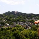 목인박물관 목석원 이미지