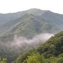 평풍농장 이미지