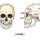 마루남성커트