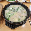 증산셀프세차장 | [양산/더도이종가집돼지국밥]양산 증산 24시간 영업하는 돼지국밥 맛집 내돈내산 후기