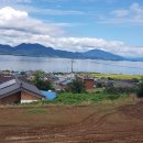 바다숲 민박 이미지