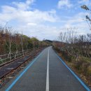 전남도립미술관 화장실 이미지