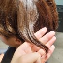 화정카클리닉 이미지