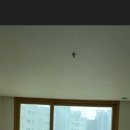 양주회천 한양수자인(17단지) | [양주도배] 고읍 산내들마을 한양수자인1단지 도배