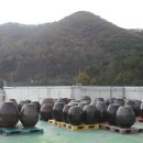 (주)영유통 이미지