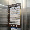 핫플레이스킹덤 이미지