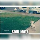 소울메이트 pc방 이미지