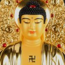 삼보광택 이미지