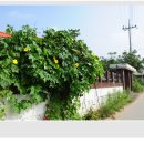 지문리입구 이미지