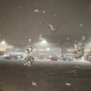 삿포로3박4일 (숙소추천, 인디고트레블 비에이투어 후기, 야키니쿠 시부키 워크인)