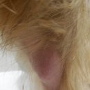 그랜드24시동물병원 이미지