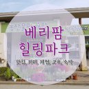 베리팜 펜션 | 전북 여행지 추천 고창 맛집 숙소 베리팜힐링파크 + 경험담