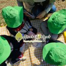 은석초등학교 병설유치원 이미지