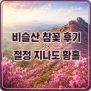 한솔매운탕 | 비슬산 참꽃 산행 후기, 절정은 지나도 능선에서 보는 풍경은 장관