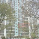 상동 393 이미지