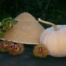 반딧불 가족농원 이미지