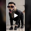 하여간 못 말려 ~ 이미지