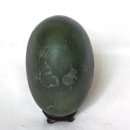 엄마와 아기곰 이미지