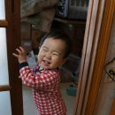 영윤농장 이미지