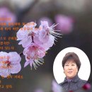 박*화 - 미추홀구 경원대로897번길 36 | 박*화