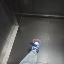 26년 2분기가 끝났고 자유가 됨