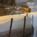 가족호텔 두솔동 이미지