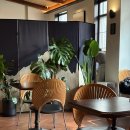 연지공원(북) | 중국 대학원 일기 | 논문 쓰고 꽃구경하느라 바빴던 3월