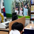 상촌초 이미지