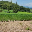 월곡리경로당 이미지