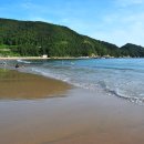 솔바람야영장 이미지