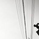 파니아토 이미지