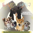 홍성인삼총판