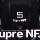 NFT뉴스 NFT 사업 프로젝트명: Super NFT 중국 타오바오 종목·선발 암호화폐 NFT 강세 도래 이미지