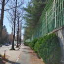 구봉산북로 이미지