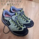 운동화 신고 벗기 편한 고무줄 신발끈..(광고 아님) 이미지