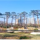 숲 노컷뉴스