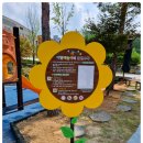 봉대초등학교 병설유치원 이미지