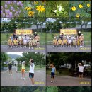지오세무회계