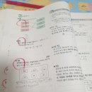 🔥 초등 3학년인데 쎈 4학년 푼다고? 하루 5장 루틴으로 수학 실력 6개월 선행하는 비법 공개!