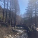 (주)중부렌트카(우리) 이미지