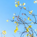 에이치 컴퍼니 이미지