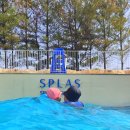 놀러와PC 2 | 예산 숙소 내돈내산 스파뷰호텔 카라반