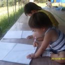 태인농장3 이미지