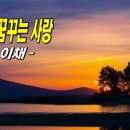 3월에 꿈꾸는 사랑 / 詩 이채, 고운 바람에게 따스한 햇살에게... 이미지