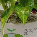 삼방초등학교 이미지