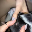 중앙공원 주차장 옆 공중화장실 | 김포 걸포중앙공원 피크닉 장소 추천 강아지 산책 코스 주차와 물놀이장 Ft. 진드기
