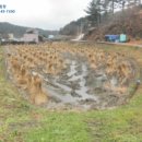 밤잣골천 이미지