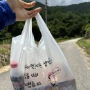 페리카나(함양 서상점) 이미지