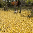 수원-1667 이미지